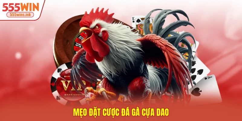 Mẹo đặt cược đá gà cựa dao
